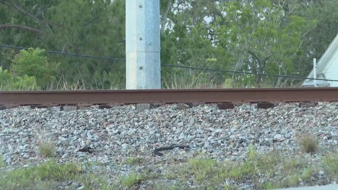 13-year-old boy hit and killed by Amtrak train in Highlands County
